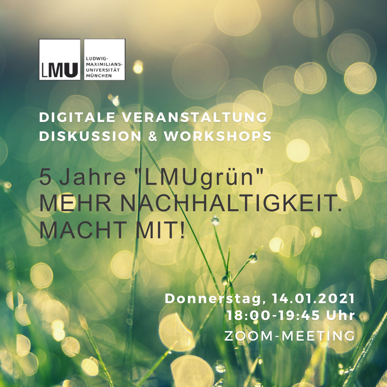 LMUgrün#5